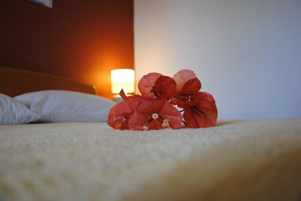 Apartments Villa Kukoljac Χέρτσεγκ Νόβι Εξωτερικό φωτογραφία